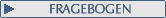 Fragebogen im PDF-Format